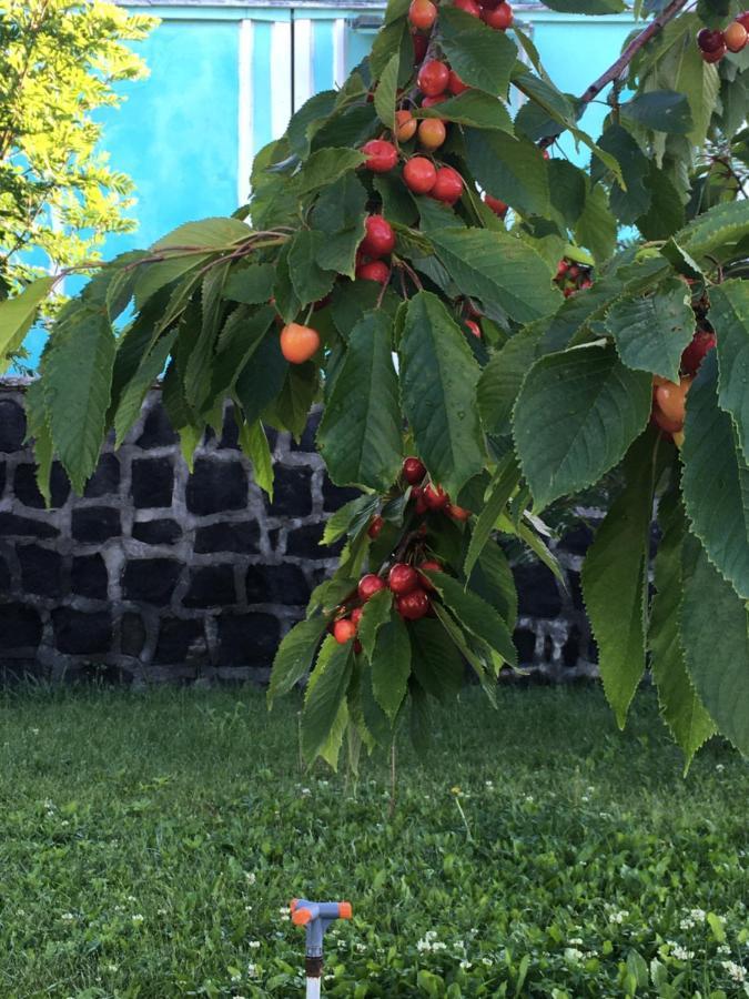 Edem Sevan Buitenkant foto